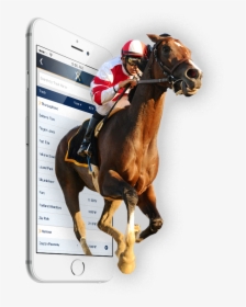 Xpressbet Iphone App - Stallion, HD Png Download, Transparent PNG