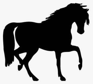 Transparent Race Horse Clipart - Horse Silhouette Clip Art, HD Png Download, Transparent PNG