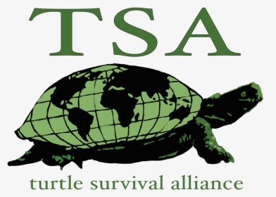 Turtle Survival Alliance - Turtle Survival Alliance Logo, HD Png ...