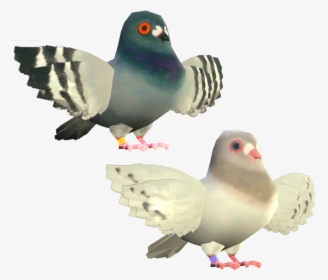 Pigeon Splatoon, HD Png Download, Transparent PNG
