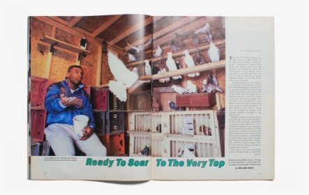 Tyson Pigeons , Png Download - Mike Tyson's Pigeon Coop, Transparent Png, Transparent PNG