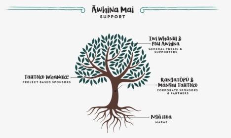 Prc Support Awhina Mai - Foundations Of Mathematics Ian Stewart, HD Png Download, Transparent PNG