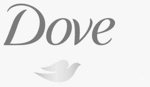 Dove, HD Png Download, Transparent PNG