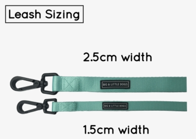 Dog Leash For Big And Small Dogs Classic Solid Teal - Big & Little Dogs, HD Png Download, Transparent PNG