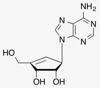 Neplanocin A - Adénosine Monophosphate Ph 7, HD Png Download, Transparent PNG