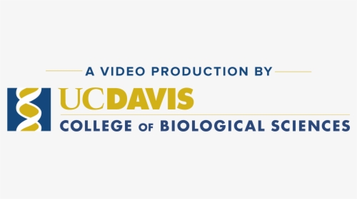 Video Production Logo - Uc Davis Medical Center, HD Png Download, Transparent PNG