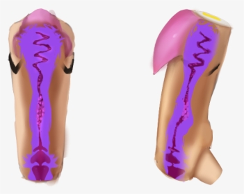 Sole, HD Png Download, Transparent PNG