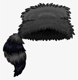 Black Raccoon Pictures - Coonskin Cap Clipart, HD Png Download, Transparent PNG