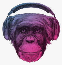 Ape Thinker S Contact Background - Chimpanzee With Headphones Colorful, HD Png Download, Transparent PNG