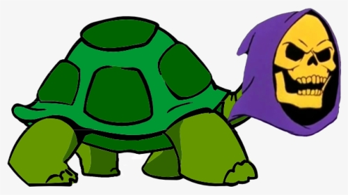 Cartoon Tortoise With Transparent Background, HD Png Download, Transparent PNG