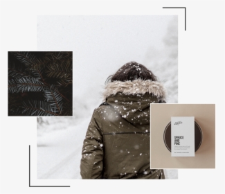 Lookbook Montage Sprucepine - Winter, HD Png Download, Transparent PNG