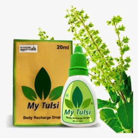 My Tulsi My Recharge, HD Png Download, Transparent PNG