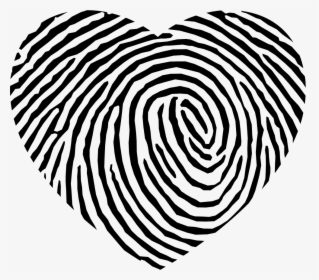 Fingerprint Heart Shape - Heart Shaped Fingerprint, HD Png Download, Transparent PNG