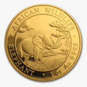 Dominican Republic Gold Coins, HD Png Download, Transparent PNG