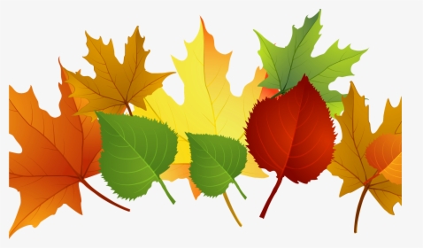 Falling Clipart Autumn Leaf - Autumn Leaves Clipart, HD Png Download, Transparent PNG