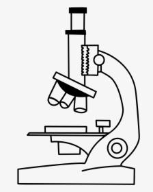Collection Of Free Microscopes Drawing Label Clipart - Microscope Drawing, HD Png Download, Transparent PNG