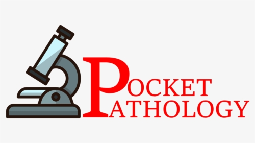 Pocket Pathology - Microscope Clipart Transparent Background, HD Png Download, Transparent PNG