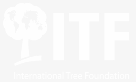 Organisation For Saving Tree, HD Png Download, Transparent PNG