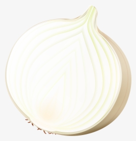 Onion Png Clip Art Image , Png Download, Transparent Png, Transparent PNG