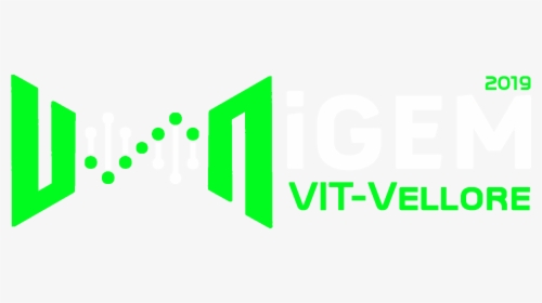 Graphic Design, HD Png Download, Transparent PNG