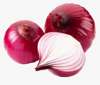 Onion Download Free Png - Allium Cepa Linn, Transparent Png, Transparent PNG