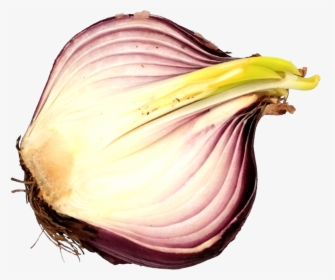 Sliced Onion 6 - Red Onion, HD Png Download, Transparent PNG