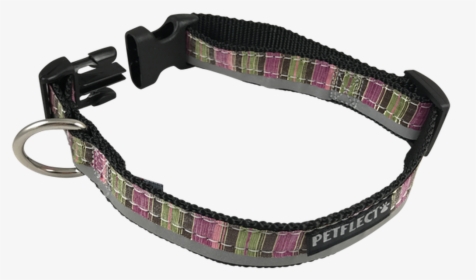Green Purple Vertically Striped Dog Collar - Strap, HD Png Download, Transparent PNG