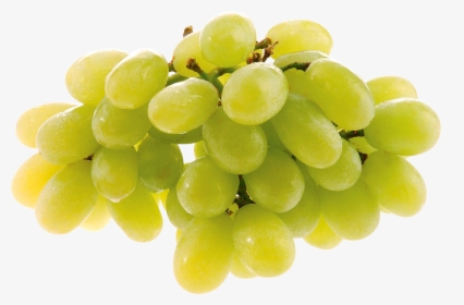 Grape Png Image - Green Grapes, Transparent Png, Transparent PNG