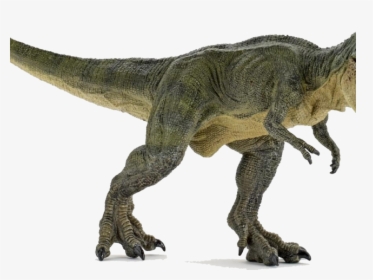 T Rex Closed Mouth, HD Png Download, Transparent PNG