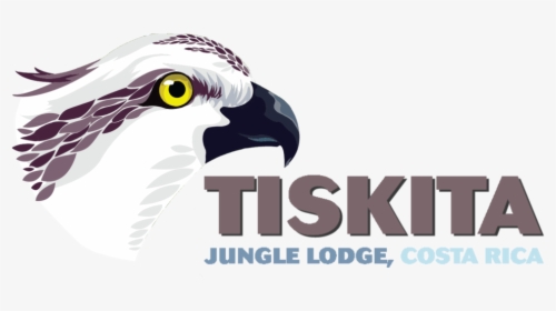 Tiskita Logo - Osprey, HD Png Download, Transparent PNG