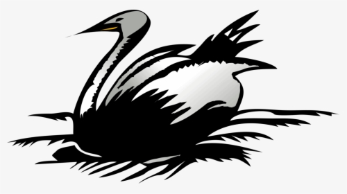 Wildlife,water Bird,duck - Duck Diagram In Png, Transparent Png, Transparent PNG