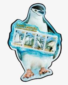 South Georgia & Sandwich Islands 2008 Penguin Stamp, HD Png Download, Transparent PNG