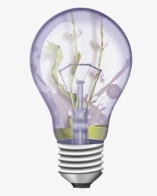 Light Bulbs Illustration, Glow, Lighting, Lightbulb, - Incandescent Light Bulb, HD Png Download, Transparent PNG