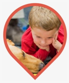 Can Service Dogs Help With Anxiety - Toddler, HD Png Download, Transparent PNG