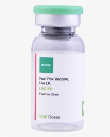 Live Fp 1000 - Vaccine Bottle Png Transparent, Png Download, Transparent PNG