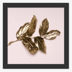 Quadro Folhas Douradas Moldura Preta Lisa - Gold, HD Png Download, Transparent PNG