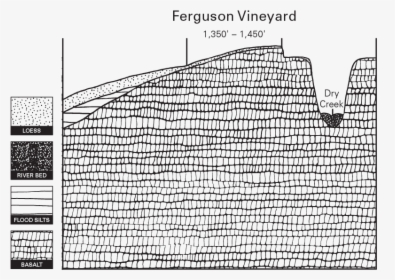 Estate Ferguson Vineyard Illustration - Line Art, HD Png Download, Transparent PNG