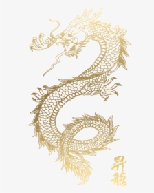 Japanese Dragon Tattoo Simple, HD Png Download, Transparent PNG