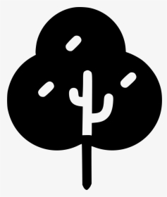 Oak Tree - Ícone Árvore Png, Transparent Png, Transparent PNG