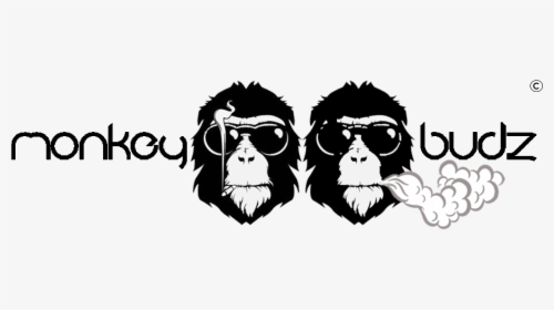 Monkey Budz Logo - Macaque, HD Png Download, Transparent PNG