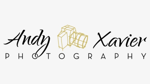 Andy Xavier, HD Png Download, Transparent PNG