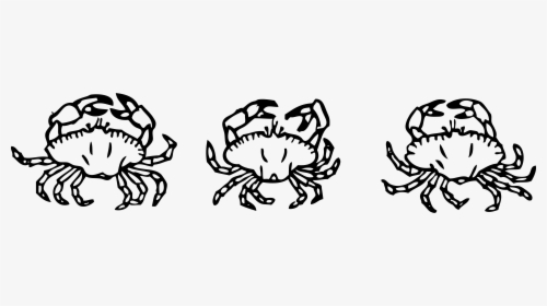 Crabs Png , Png Download - 8 Crabs Clipart Black And White, Transparent Png, Transparent PNG