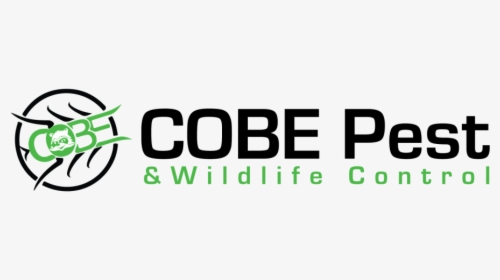 Cobe Logo Home - Graphics, HD Png Download, Transparent PNG