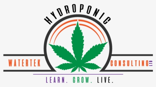 Cannabis, HD Png Download, Transparent PNG