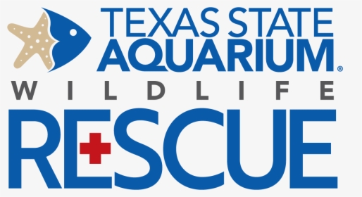 Texas State Aquarium Wildlife Rescue, HD Png Download, Transparent PNG