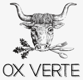 Ox Logo , Png Download - Ox Verte, Transparent Png, Transparent PNG