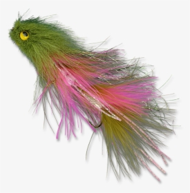 Lynch Mob - Rainbow - Animal, HD Png Download, Transparent PNG
