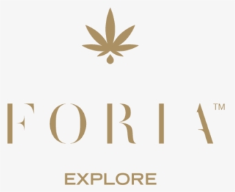 Explore Relief, HD Png Download, Transparent PNG