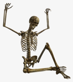 Squelette Png, Tube Halloween - Squelette Halloween Sur Fond Transparent, Png Download, Transparent PNG