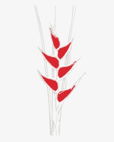 Coco Maya Logo Flowers Cmyk 2, HD Png Download, Transparent PNG